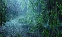 Rain: The Unvarnished Forecast & Its Real Impact