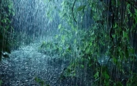 Rain: The Unvarnished Forecast & Its Real Impact