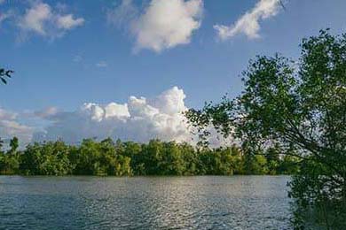 Black Friday's Stock Market Rally: Unpacking the Seasonal Market Surge