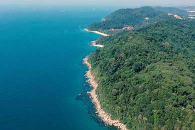 Black Friday's Stock Market Rally: Unpacking the Seasonal Market Surge